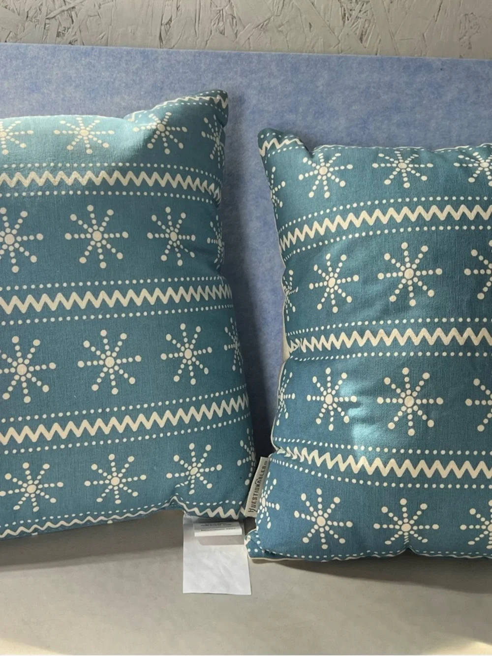 PBK Organic Carrots Decorative Throw Pillow - set of 2. Cream and Blue